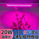 【君沛】磁吸式薄型植物燈板 20W 紅藍光譜 LED植物燈 多肉顯色 育苗 防徒長 植物生長燈 層架燈, , large