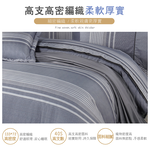 FITNESS 精梳棉雙人鋪棉兩用被套-安德里-灰, , large