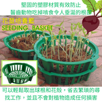 GS MALL 台灣製造 花莖培養籃 球莖種植籃 球根花卉籃 花球莖籃 洋蔥植物籃 花球莖碗 植物碗 繁殖托盤, , large