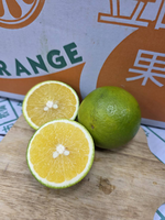 [芯鮮果]台灣嚴選( 柳丁 ), , large