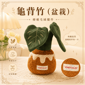 【際洋文化】象皮兔 龜背竹（盆栽）