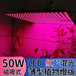 【君沛植物燈】LED植物燈 LED50W薄型植物燈板 50瓦磁吸式植物燈 紅藍混光 專業型光譜 led植物生長燈, , large
