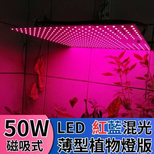 【君沛植物燈】LED植物燈 LED50W薄型植物燈板 50瓦磁吸式植物燈 紅藍混光 專業型光譜 led植物生長燈