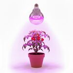 【君沛】紅藍混光 15W 高效能植物燈泡 E27 抑制徒長 精準發根 多肉控型 塊根 鹿角蕨孢子苗補光, , large