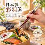 【HIYASU日安工坊】日本工藝箸-彩羽 白, , large