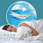 防蹣抗菌五星飯店雙人冬被, , large