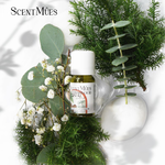 【ScentM&ucirc;es森繆斯】光影系列 雪松檜木純精油 10ml (芬多精木質香), , large