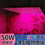 【君沛植物燈】LED植物燈 LED50W薄型植物燈板 50W 吊掛式植物燈 紅藍混光 專業型光譜 led植物生長燈, , large