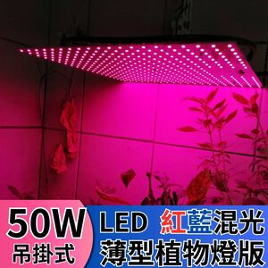【君沛植物燈】LED植物燈 LED50W薄型植物燈板 50W 吊掛式植物燈 紅藍混光 專業型光譜 led植物生長燈