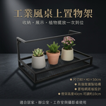 【 SHAONIANNA.TW 】桌上置物架｜桌架・桌面擺放架・植物架｜菱格網多功能鐵架 桌上多功能收納鐵架附可調燈架, , large