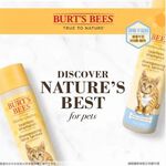 【PawHomie】Burt's Bees 幼貓低敏保濕沐浴露｜蜂蜜牛奶配方・溫和洗護・敏感肌適用, , large