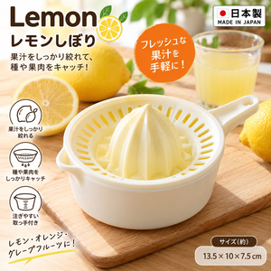 【HIYASU日安工坊】過濾榨汁器