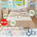 Buy 1 Get 1 Free Washable Cooling Quilt with Artemisia Plant Fiber and Antibacterial Properties, , large