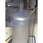【君沛植物燈】LED植物燈 PAR38 LED32W聚光透鏡高光效植物燈(S85光譜) 白殼 適合龍舌蘭、塊根, , large