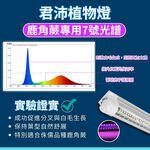 【君沛】7號光譜 V型雙排 2呎 T8一體式植物燈 25W 抑制徒長 鹿角蕨推薦 觀葉植物 還原原色 桌上型補光 免燈座, , large