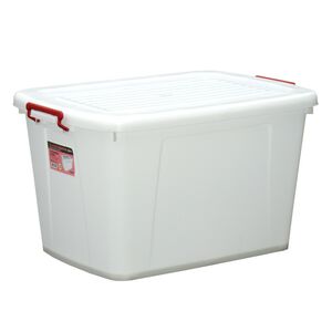CF1501 Container