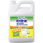 Dish Washing 1 Gallon, , large
