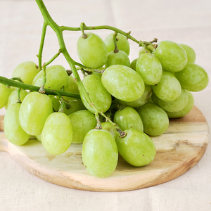 [馥果FruitGo]美國 綠無籽葡萄_大果