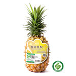 TAP Spring Pineapple/pc, , large