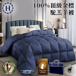 【Hilton 希爾頓】100%頂級金標駝羔羊被2.5公斤(B0884-N25), , large
