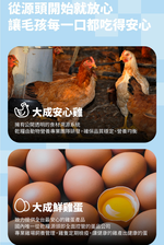 【GOMO PET FOOD】幼犬骨能原動力/幼犬健康成長發育配方4.2kg 狗飼料 狗糧, , large