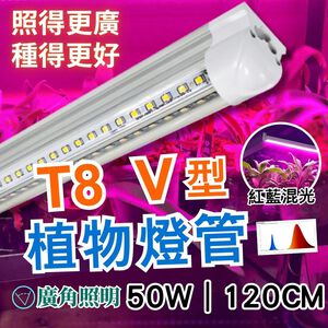 【君沛】紅藍光譜 V型雙排 4呎T8一體式 50W 專業育苗 抑制徒長 鹿角蕨孢子苗 龍舌蘭層架專用