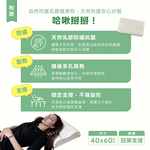 【 熊棉 】寢具組合包-人氣熱銷記憶款, , large