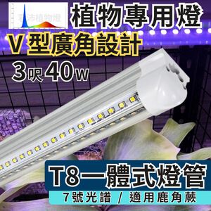 【君沛】V型雙排 7號光譜 3呎 T8一體式植物燈 40W 高功率 鹿角蕨首選 抑制徒長 觀葉層架補光 免燈座生長燈