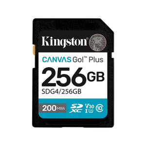 Kingston SD Card