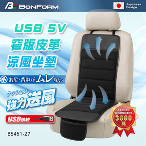 Cooling Cushion
