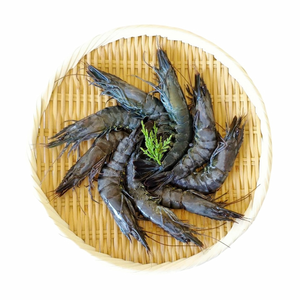 【一夫水產】產銷履歷/藍寶石草蝦
