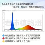 【君沛】7號光譜 V型雙排 2呎 T8一體式植物燈 25W 抑制徒長 鹿角蕨推薦 觀葉植物 還原原色 桌上型補光 免燈座, , large