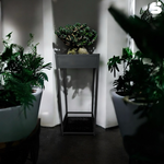 【 SHAONIANNA.TW 】日式 禪意 植物 展示 架 極簡 黑色 金屬 盆栽 架, , large