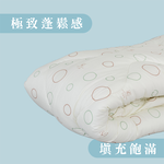 ［熊棉］舒適透氣四孔纖維被｜雙人｜6x7尺｜冬天必備 被胎 溫暖 四孔纖維 舒適 棉被 透氣, , large