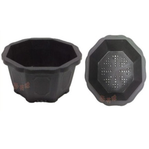Octagonal Flower Pot - 5 inch