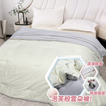 【多利寶寢具】Indain_四季恆溫鍺元素可水洗抗菌被/棉被胎, , large