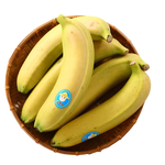 Ginger Bear TAP Banana/bag, , large