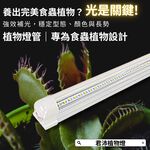 【君沛】3號顯色光譜 T8植物燈管 食蟲植物推薦 捕蠅草 毛膏菜顯色 抑制徒長 室內燈養首選 桌上型專業生長燈, , large