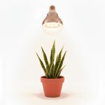 【君沛】全光譜 15W 居家首選 植物燈泡 E27 抑制徒長 模擬自然光 觀葉植物 多肉 塊根補光 燈養, , large