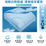 【多利寶寢具】Victoria_涼感紗銀離子冰冰被-天空藍, , large