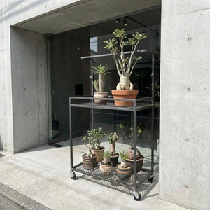 【 SHAONIANNA.TW 】一體成型鐵製盆栽架｜金屬花架 植物展示架｜工業風落地置物架