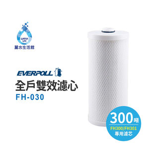 【麗水生活】愛科濾淨-EVERPOLL公司貨-全戶設備FH-030濾心傳家寶全戶濾淨(300噸) 大樓過濾 大型濾水器