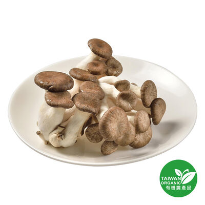 有機黑美人菇500g