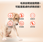 【GOMO PET FOOD】卵磷脂美膚/成犬無穀雙效護毛配方4.2kg 狗飼料 狗糧, , large