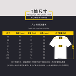 台灣製 吸濕排汗機能短T 灰色 L號 短袖排汗衣 排汗衫 涼感衣 素T 運動衣 圓領T恤, , large