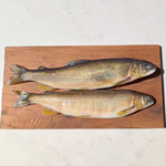 【一夫水產】抱卵母香魚, , large