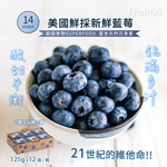 Fresh Blueberry, , large