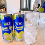 中元普渡 Vinut 果粒椰子汁325ml(固9.6g) [1箱免運], , large