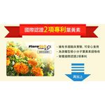 【葡萄王】 優適金盞花葉黃素90粒x6瓶 共540粒 (專利葉黃素配方 FloraGLO 山桑子 葡萄籽), , large