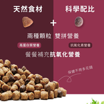 【Blue Buffalo藍摯】原野精靈 鮭魚無穀配方11磅 成貓飼料 貓乾糧(貓糧/貓飼料), , large